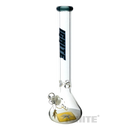IGNITE Glass V9 Model Beaker