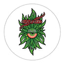 IGNITE Glass V9 Model Beaker