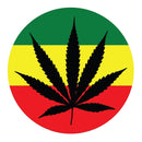 IGNITE Glass V9 Model Beaker